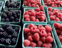 blackberries and raspberries in crates