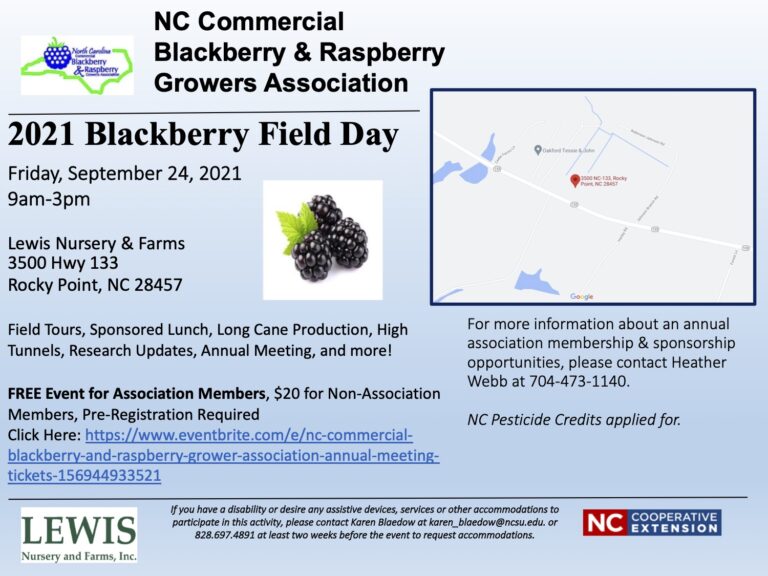 Blackberry & Raspberry Information NC State Extension